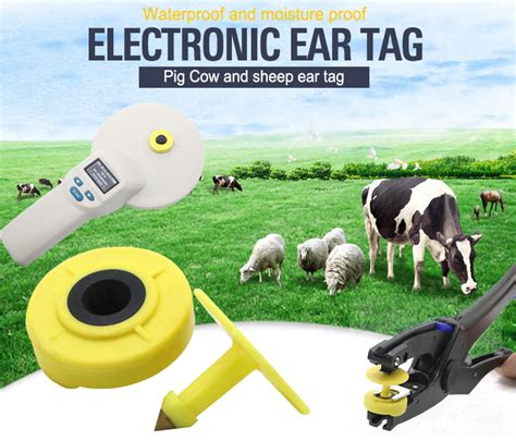 rfid tags for cattle tracking|rfid tags for livestock.